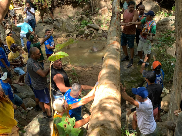 Corte do Pau da Bandeira de Santo Antônio ocorre nesta sexta-feira (17) no Sítio São Joaquim